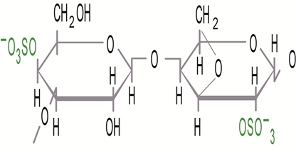Iata (i) carrageenan