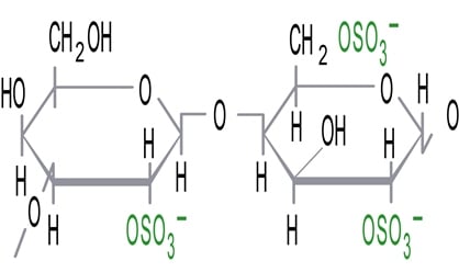 Lambda carrageenan
