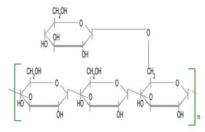 Scleroglucan chemistry