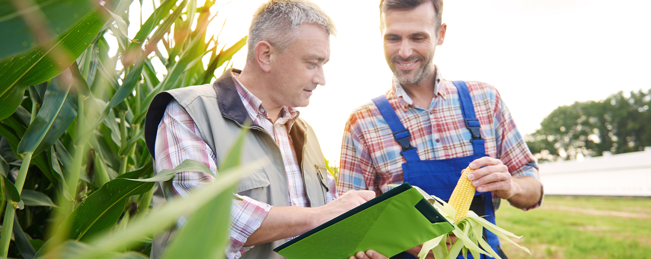 Marketplace Knowledge of Corn Sweeteners