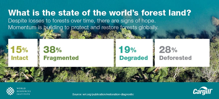 inpage sustain partners deforestation graphic