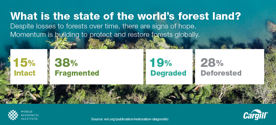 inpage sustain partners deforestation graphic