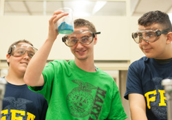 inpage-ffa inpage-ffa