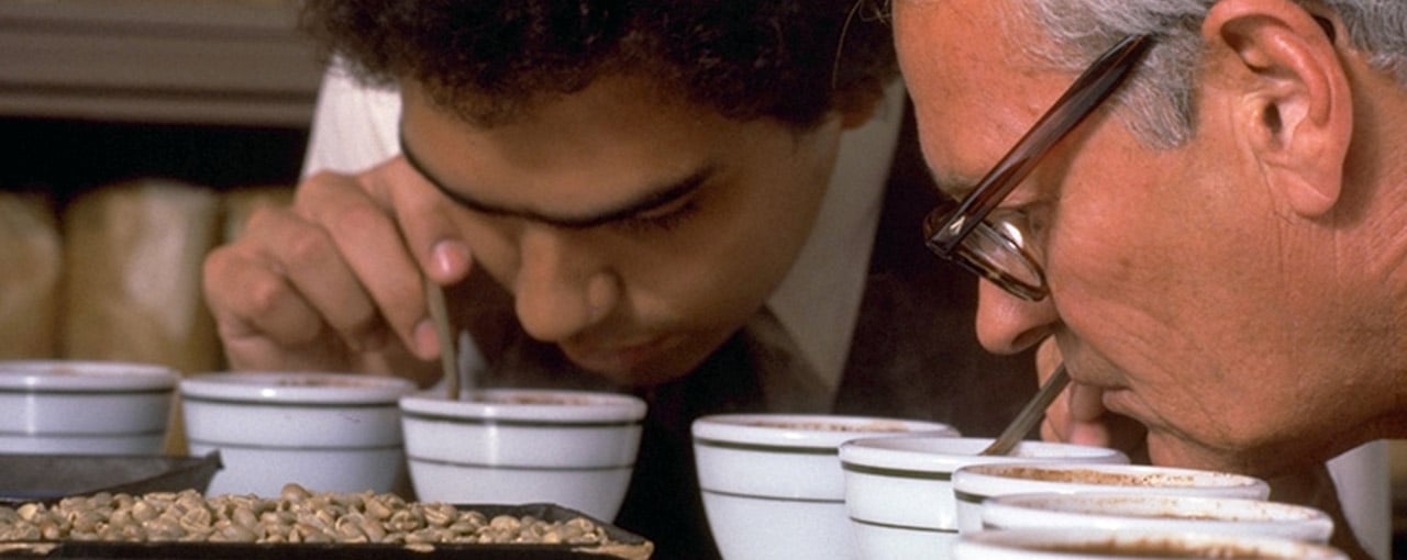 hero about research sensory science