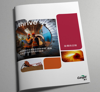 preview metals asia china brochure