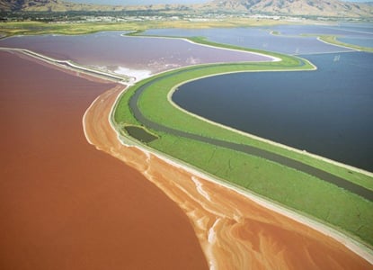 slideshow SF Bay Salt Ponds 4