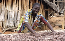 best cocoa beans 