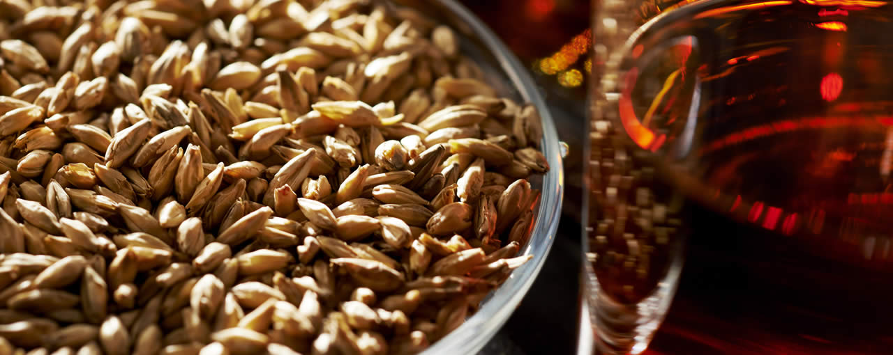 Distilling Malts North America Distilling Malts North America