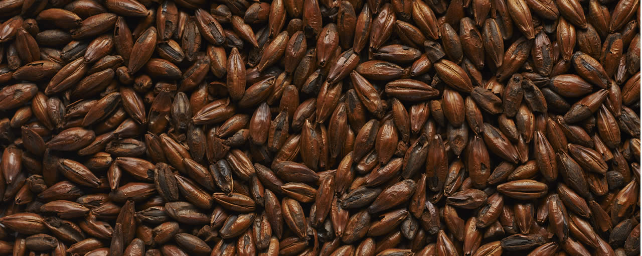 Roasted Malts North America Roasted Malts North America