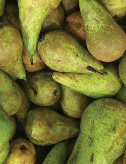 inpage-pears
