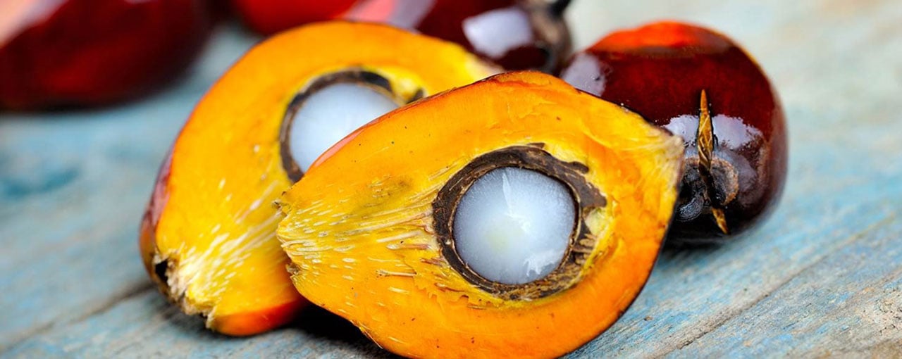 palm oil sustainability