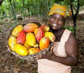 For Farmers