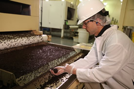 Food Safety and Quality