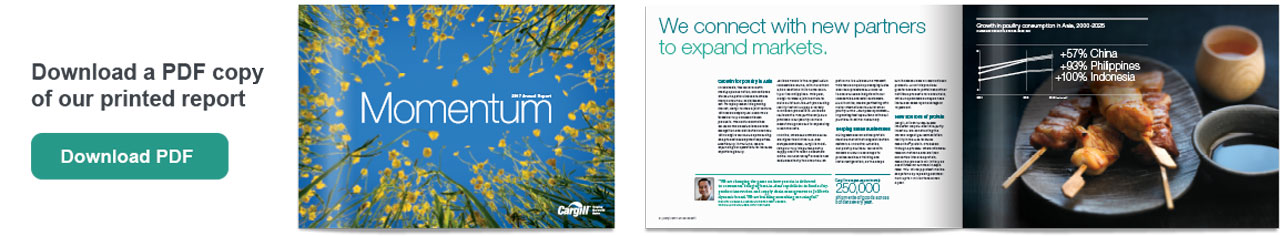 Printed version of our Annual Report