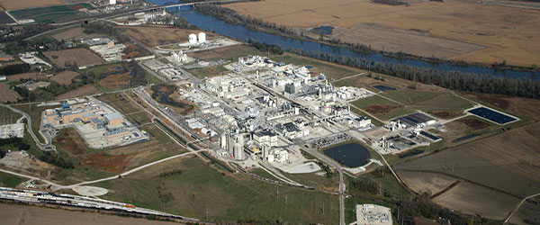Aerial view of a plant
