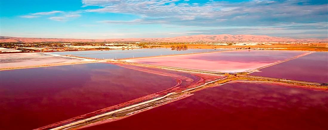 Sea Salt Ponds