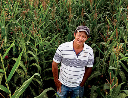 Farmer in a corn field