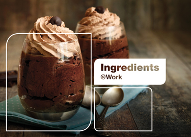 Gerkens GR80 Cocoa Powder | Cargill