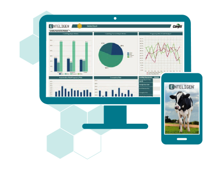 Dairy Enteligen, Platform Dairy Enteligen, Platform