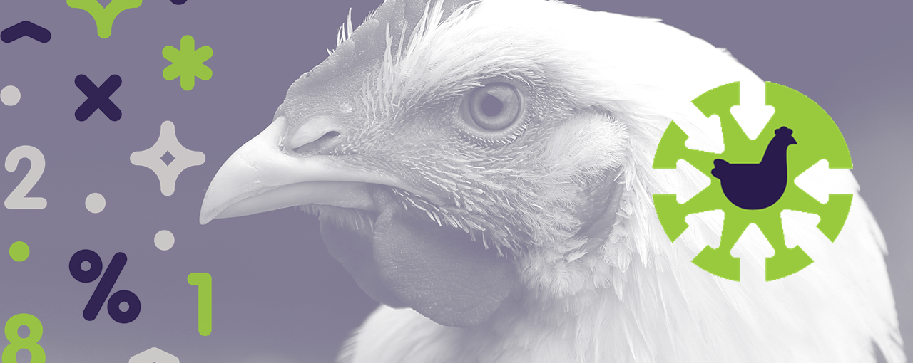 TechBro Flex, Poultry