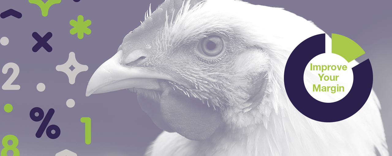 TechBro Flex, Poultry