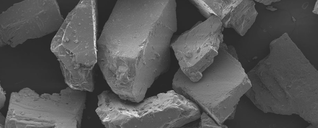 sea salt microscope hero