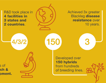 high oleic canola oil preview high oleic canola oil preview
