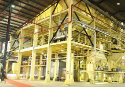 inpage-india-fish-plant-3