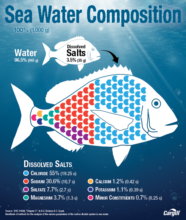 Sea Water Composition 