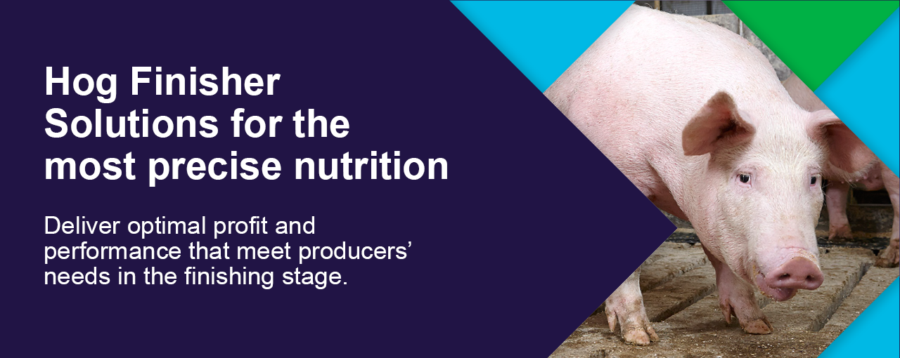 Hog finisher soltuions for the most precise nutrition