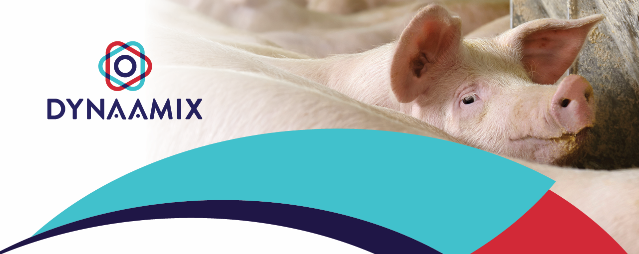 hero-swine-products-dynaamix