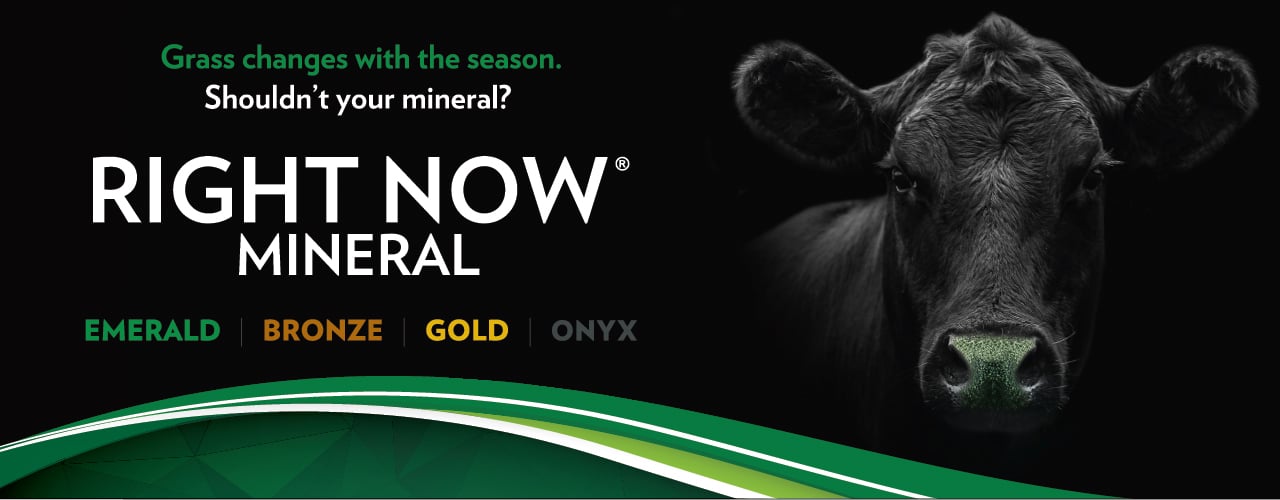 Right Now Minerals, because your grass changes with the season. | Cargill