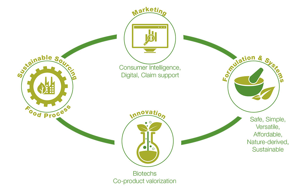 Cargill Beauty - Our Scope