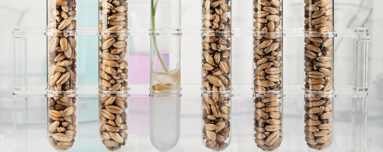 Cargill Beauty - Texturizers - Xanthans