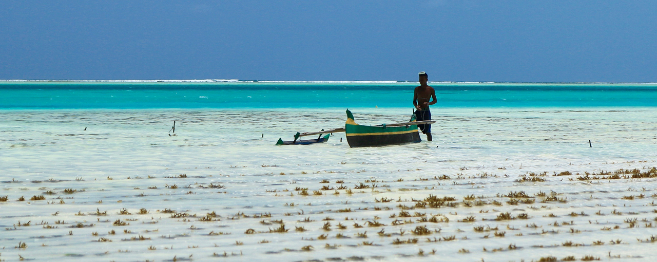 Cargill Beauty - Sustainability