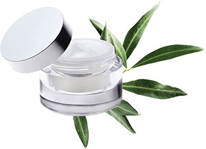 Cargill Beauty - Perfect Day Cream