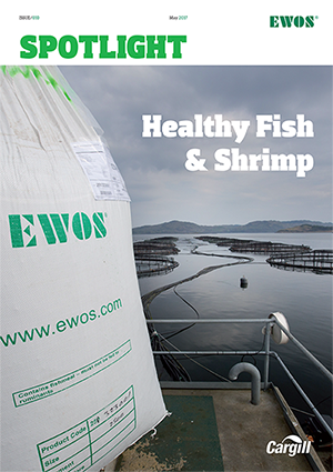 EWOS Spotlight magazine cover