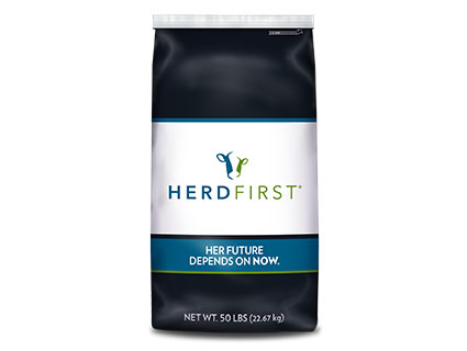 preview heifer developer bag preview heifer developer bag