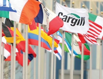 Flags of many countries Flags of many countries