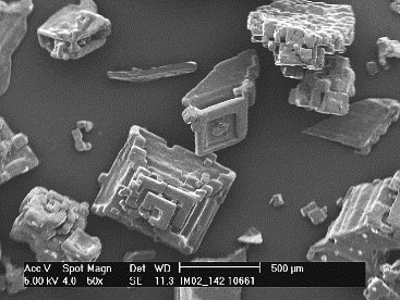 Alberger Salt Crystals