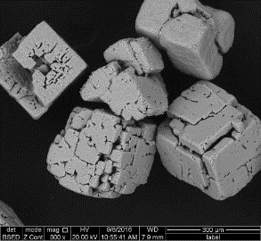 Dendritic Salt Crystals