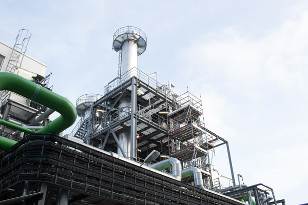 biofuels biofuels