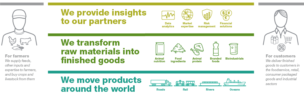 Cargill Org Chart