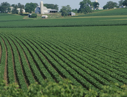 agricultural land agricultural land