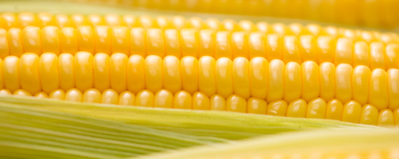 Cargill supplies corn protein