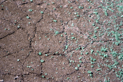 Salt Piles 