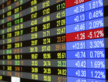 Risk Management Services