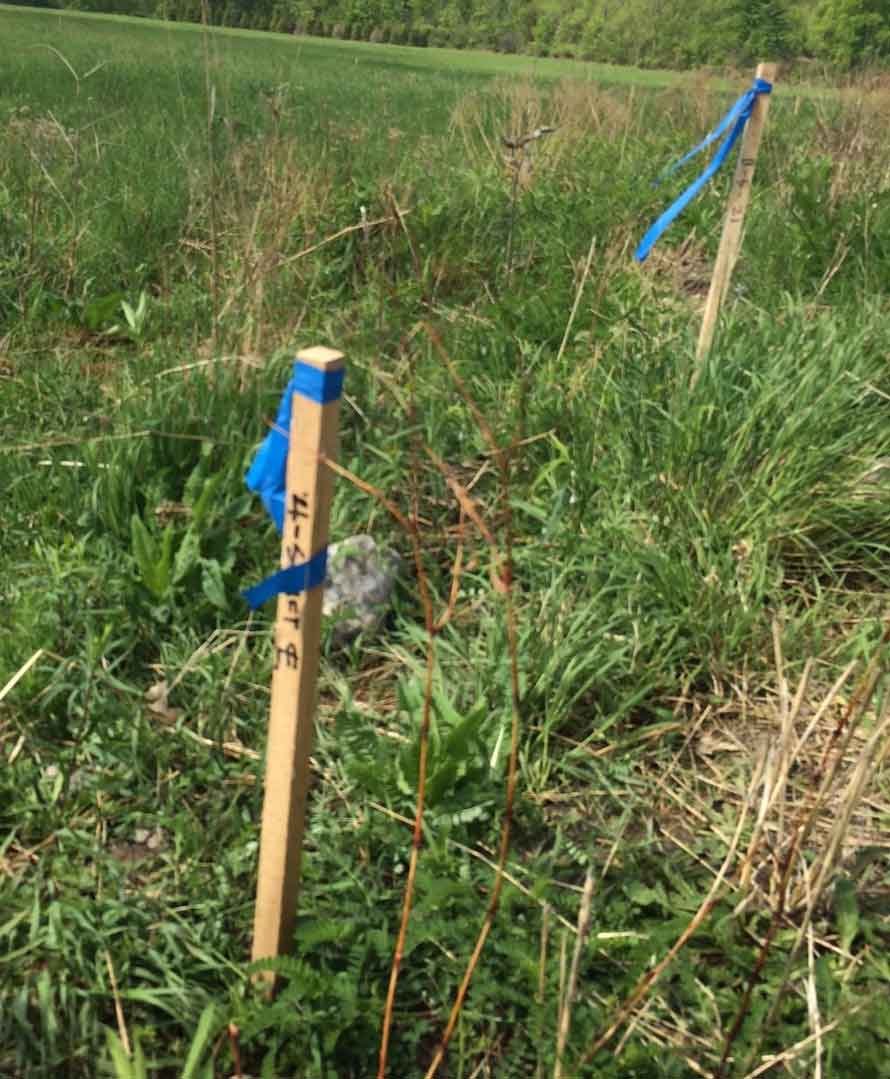 Cayuga Mine #4 Shaft Project site surveying