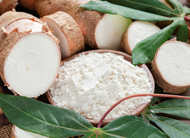 Food and Beverage Sweeteners Ingredients Supplier in US | Cargill