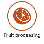 Cereal Sweeteners Applications - Fruit Processing